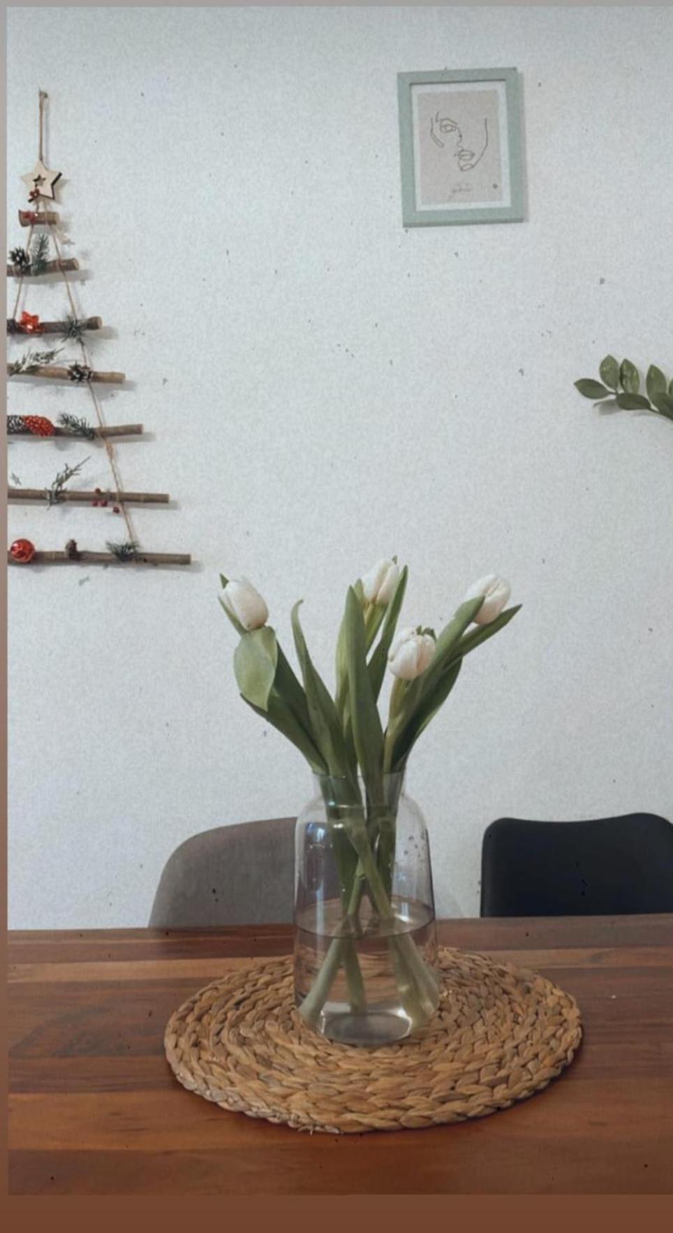 Apartma Ella Koper Exteriér fotografie